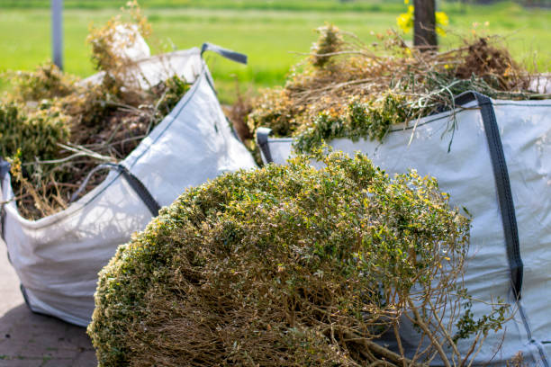 Best Office Junk Removal  in Edgeworth, PA